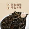 【清澈透润 茶香馥郁】凤凰单丛鸭屎香乌龙茶礼盒80g/条 商品缩略图1