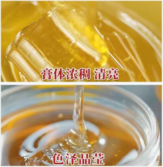 季海堂党参蜂蜜膏 商品图2