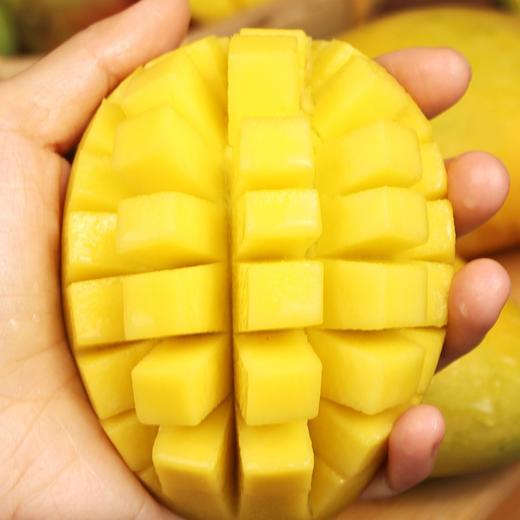 【现摘现发！海南贵妃芒】新鲜采摘，皮薄多汁，手撕剥皮，一口鲜甜爆汁！果肉细腻，香甜可口芒果 商品图4