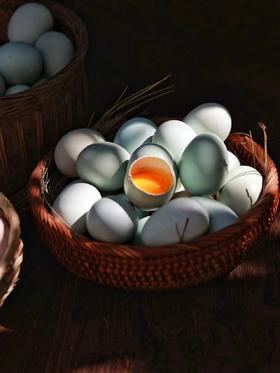 【乌鸡蛋•绿壳】整箱发货 林下散养 三峡黑鸡