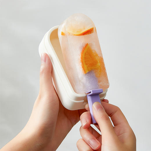 摩登主妇雪糕模具家用冰箱制冰盒食品级儿童自制冰棍棒冰淇淋磨具 商品图2