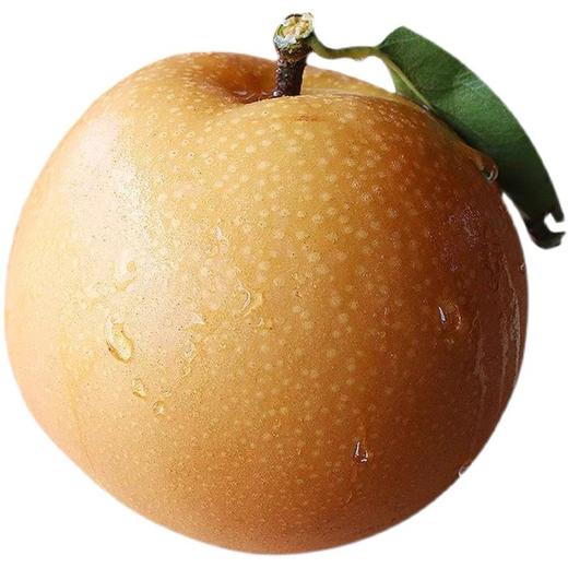 【鲜嫩多汁！山东冰糖丰水梨】产地直发人工精心挑选，粒粒饱满，脆甜嫩滑，新鲜水果丰水梨非秋月梨 商品图4