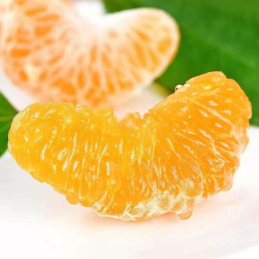 【产地直发！四川春见耙耙柑】轻轻一小口，果汁进溅，甜蜜十足！15度甜度，比橘肉更细腻，比橙子更清甜新鲜水果 商品图2