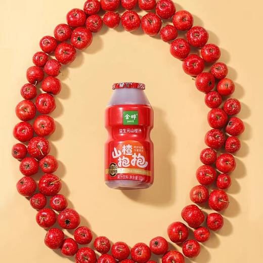 【包邮】金晔 益生元山楂汁 山楂抱抱果汁饮料0添加 色素 商品图2