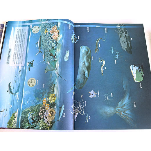 《世界地理地图》（全两册） 商品图5