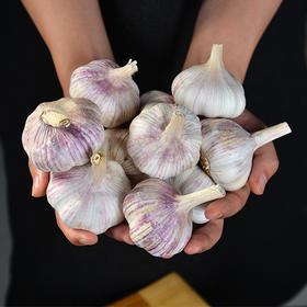 【5斤更值！山东新鲜十足干蒜】舌尖上的美味食材 农家自种 肉质白嫩 蒜味浓郁 干大蒜白皮 辛辣 颗粒饱满