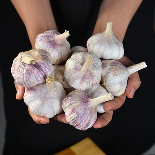 【5斤更值！山东新鲜十足干蒜】舌尖上的美味食材 农家自种 肉质白嫩 蒜味浓郁 干大蒜白皮 辛辣 颗粒饱满 商品图0