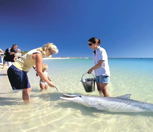 【暑假研学】澳洲国际教育司:全真插班+畅玩,15天一站全体验|悉尼/布里斯班/墨尔本/海豚岛/华纳电影世界|10-17岁 商品图0