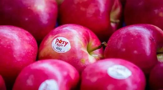 水蜜桃口感！新西兰小花苹果，原装进口 商品图0