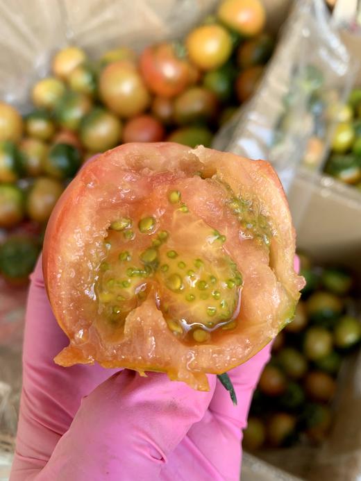 普兰店星台草莓柿子，口感正味道浓，酸酸甜甜，汁多肉厚，现摘现发（按照订单顺序发货，急单勿拍），京东快递全国包邮， 偏远地区不发。 商品图1