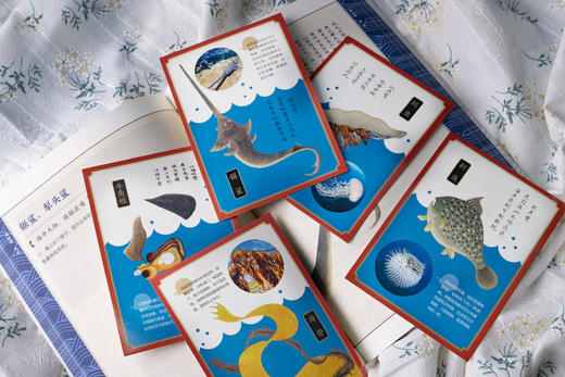 海错图笔记·青少版套装（全2册） 商品图5