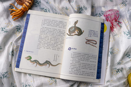 海错图笔记·青少版套装（全2册） 商品图8