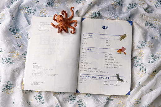 海错图笔记·青少版套装（全2册） 商品图6