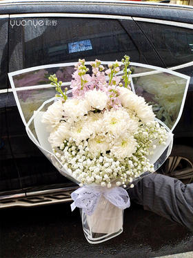 清明节扫墓上坟祭祀鲜花菊花