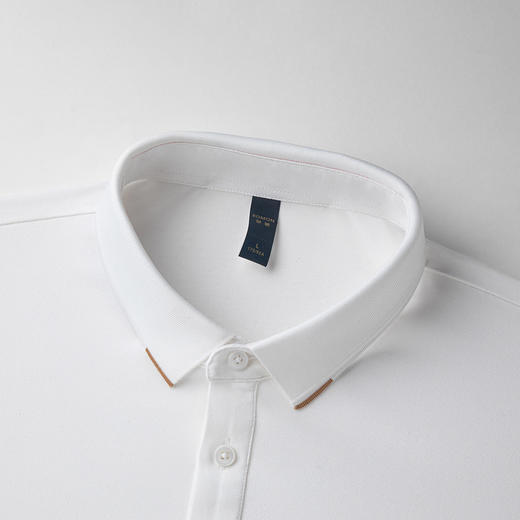 【含桑蚕丝&亚麻】罗蒙夏季男士t恤短袖polo衫百搭polo衫男短袖 商品图5