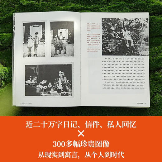 卡尔维诺百年诞辰纪念版：生活在树上：卡尔维诺传 商品图2