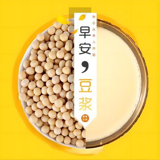 【东北特产】高蛋白豆浆粉500g/袋*2 不甜免煮 纯豆粉 早餐速溶 乳糖不耐受必备  植物蛋白 商品图2