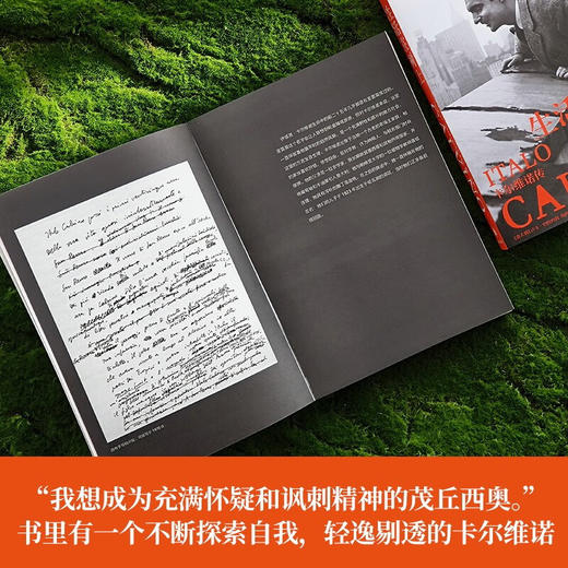 卡尔维诺百年诞辰纪念版：生活在树上：卡尔维诺传 商品图4