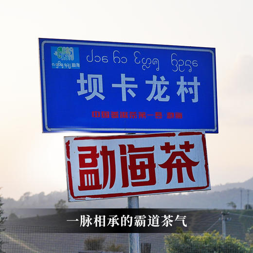 【5饼打包价】【坝卡竜】2023年春茶 班章五寨之一 布朗山的‘明星产区’普洱茶手撕饼一掰一泡 商品图1