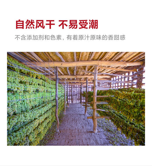 包邮到家！新疆葡萄干，自然风干，不含添加剂色素，有着原汁原味的香甜！红果两包，绿果三包，共五包 商品图6