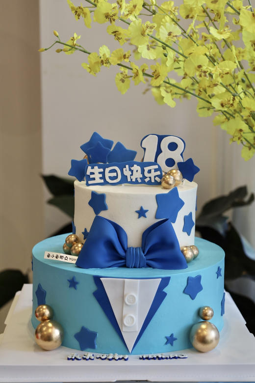 男孩领结蛋糕（图为10+6双层蛋糕） 商品图0