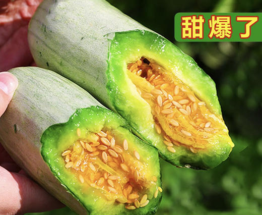 又脆又甜的羊角蜜甜瓜2.7斤装 商品图2