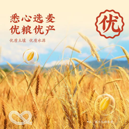 柳叶挂面500g-900g【长寿丨竹叶丨荞麦丨和乐面】 商品图3