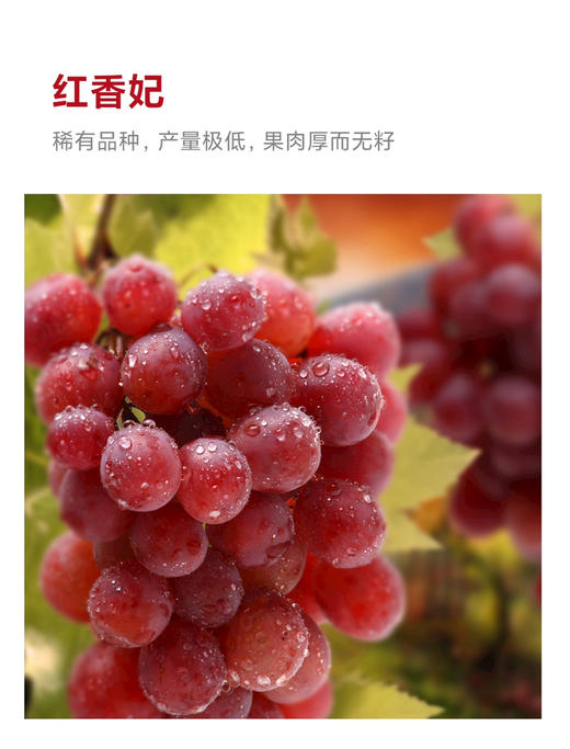 包邮到家！新疆葡萄干，自然风干，不含添加剂色素，有着原汁原味的香甜！红果两包，绿果三包，共五包 商品图2