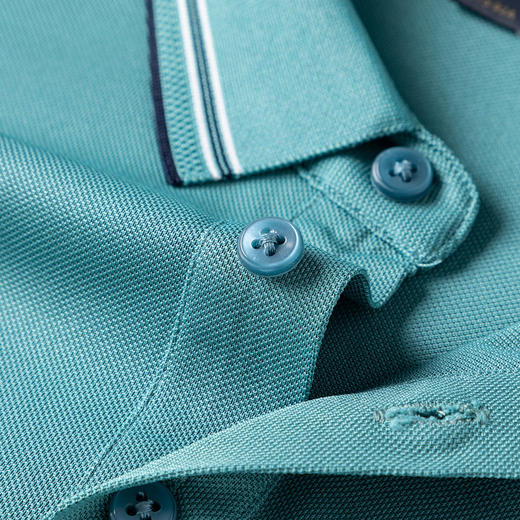 罗蒙男士夏季商务短袖t恤男休闲短袖polo衫男士舒适百搭polo衫男短袖 商品图12