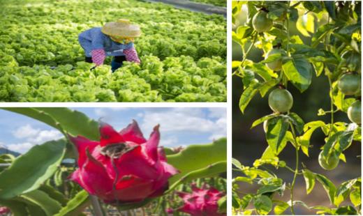 定制【夏令营】一场少年机长的海陆空奇幻探险 商品图5