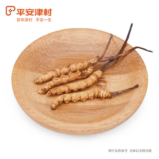 平安津村 冬虫夏草 4g*2瓶 礼盒装 商品图3