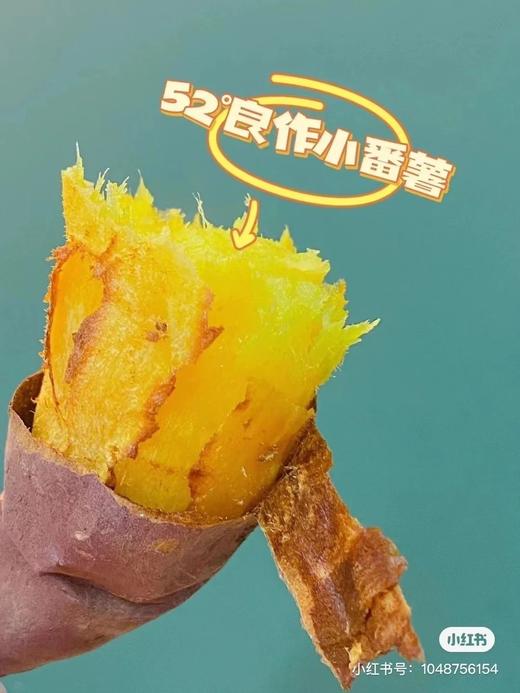 【52°良作蜜薯】5斤装～天然小糖罐，健康美食，一款吃了不会胖的甜食，烤着吃超级好吃，软糯香甜～ 商品图6