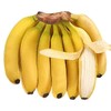 【日销】香蕉 皮薄肉厚 软糯香甜 产地直发 3斤的（单果100g+) 商品缩略图3