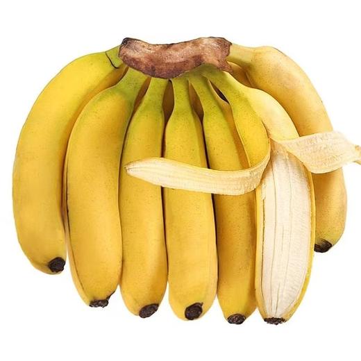 【日销】香蕉 皮薄肉厚 软糯香甜 产地直发 3斤的（单果100g+) 商品图3