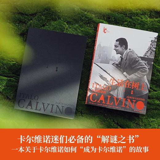 卡尔维诺百年诞辰纪念版：生活在树上：卡尔维诺传 商品图3