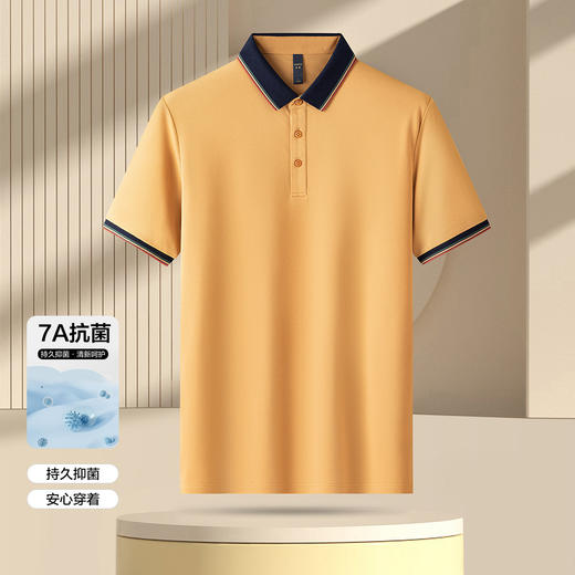 罗蒙男士夏季休闲短袖polo衫男士商务短袖t恤男舒适百搭polo衫男短袖 商品图1