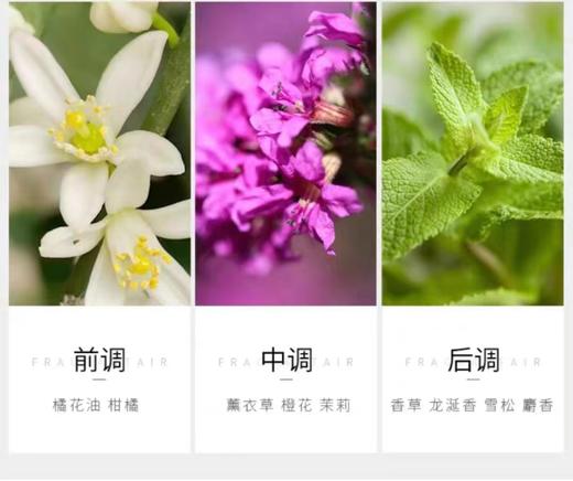 递欧-钻石婚纱挚爱香水 商品图6