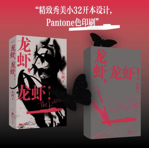 《 龙虾，龙虾！》签名本 商品图3