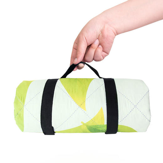 纵贯线seashore超声波加厚野餐垫CD-19 商品图3