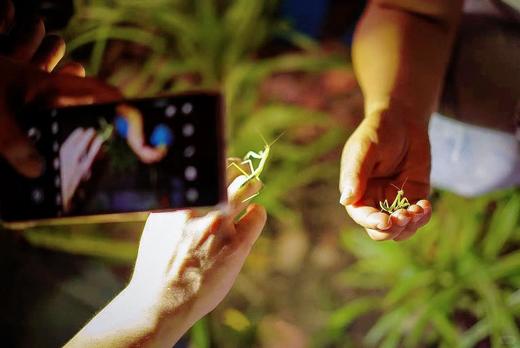 定制【夏令营】一场少年机长的海陆空奇幻探险 商品图4