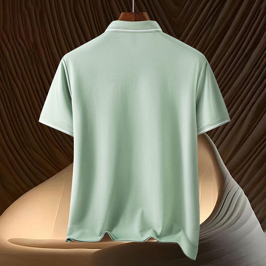 14LP50218【含桑蚕丝&亚麻】罗蒙夏季商务男polo衫休闲男士t恤短袖polo衫 商品图4