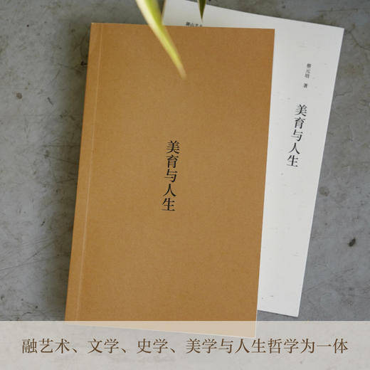 美育与人生 商品图1