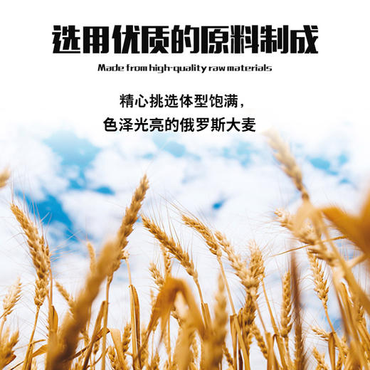 俄罗斯进口日力特侠啤酒1.5L （保质期到26年2月） 商品图2