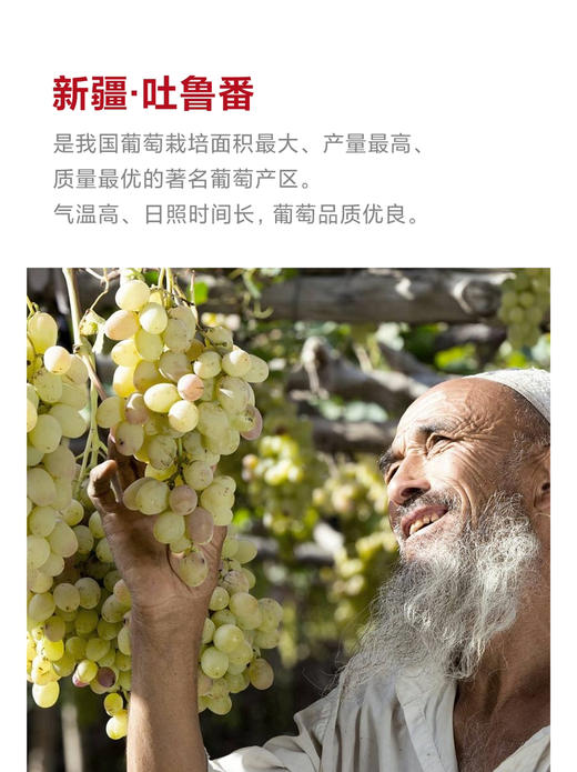 包邮到家！新疆葡萄干，自然风干，不含添加剂色素，有着原汁原味的香甜！红果两包，绿果三包，共五包 商品图1