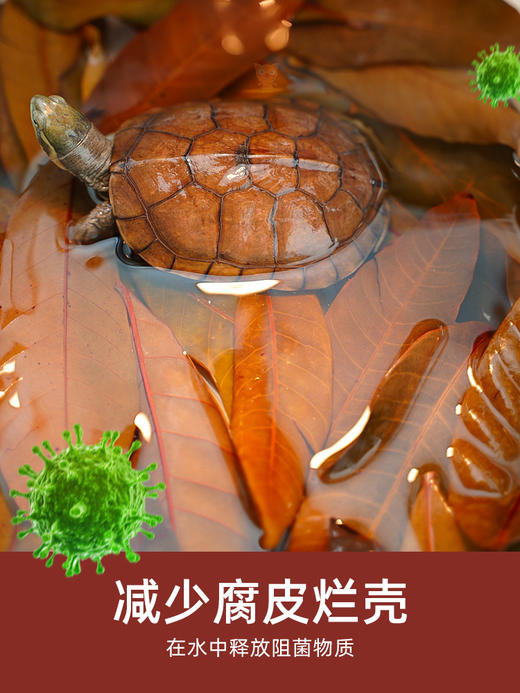 【龙眼桂花叶】调节水质，增加龟安全感，调节乌龟肠道，免水洗，免消毒【4升装】，直接扔如龟缸即可 商品图1