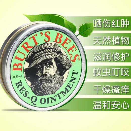 美国BURT’S BEES伯特小蜜蜂万用止痒紫草膏-8.5g 商品图1