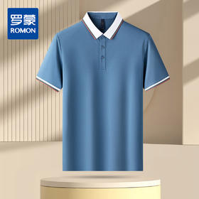 罗蒙男士夏季休闲短袖polo衫男士商务短袖t恤男舒适百搭polo衫男短袖