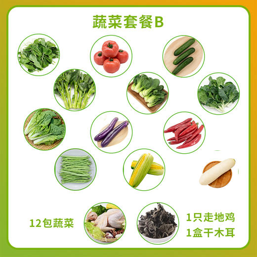（长沙专供）蔬菜套餐B 商品图1