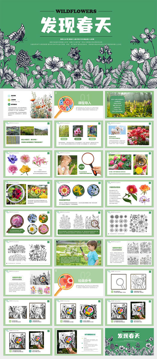 《发现春天：放大镜下的自然奥妙》春季/春天/花/放大镜/线描/自动发货：下单后，点击手机短信中收到的链接，即可获取文件下载的链接；如有任何问题，可添加客服微信hm33268获得帮助。 商品图1