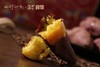 【52°良作蜜薯】5斤装～天然小糖罐，健康美食，一款吃了不会胖的甜食，烤着吃超级好吃，软糯香甜～ 商品缩略图3